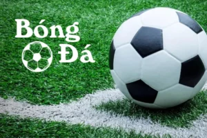 Chinh Phục Đỉnh Cao Kèo 1/2 Manclub Với Cơ Hội Ăn Thưởng Cực Lớn Mỗi Ngày