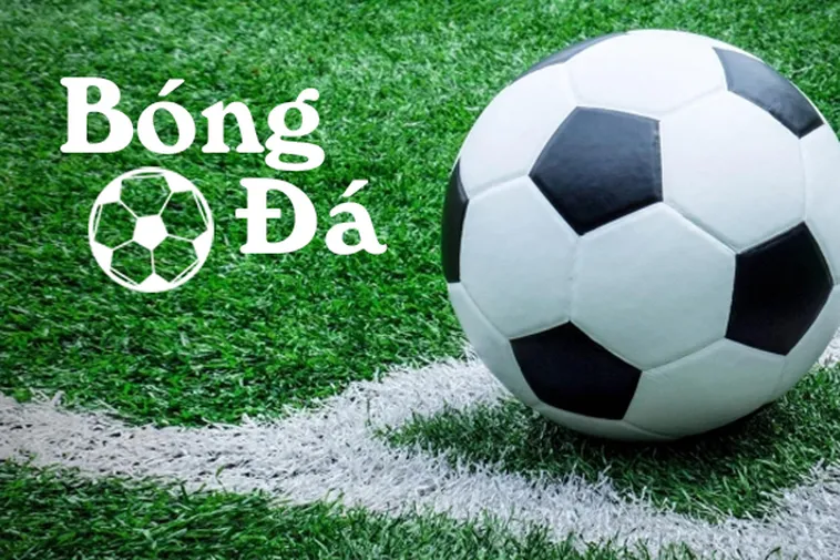 Chinh Phục Đỉnh Cao Kèo 1/2 Manclub Với Cơ Hội Ăn Thưởng Cực Lớn Mỗi Ngày
