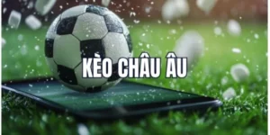 Hướng Dẫn Cách Chơi Kèo Châu Âu Manclub Đơn Giản Và Hiệu Quả Nhất